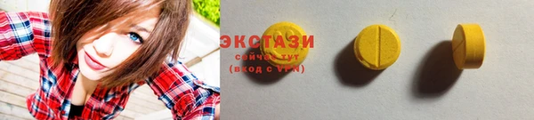 МДПВ Каменка