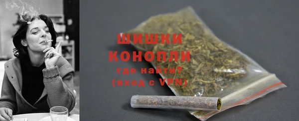МДПВ Каменка