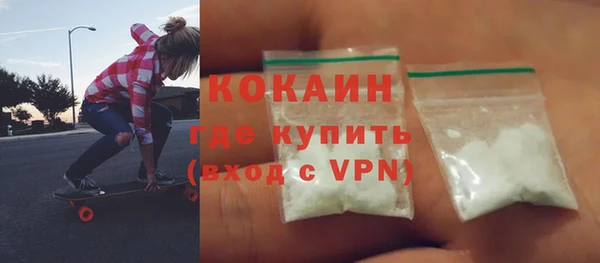 МДПВ Каменка