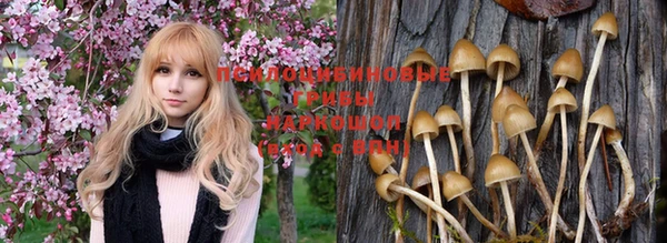 мефедрон Каменногорск