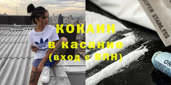 МДПВ Каменка