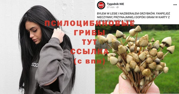 apvp Каменск-Шахтинский