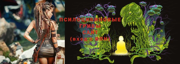 apvp Каменск-Шахтинский