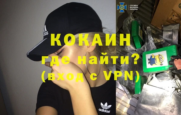 МДПВ Каменка