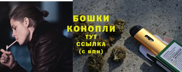 МДПВ Каменка