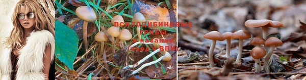МДПВ Каменка